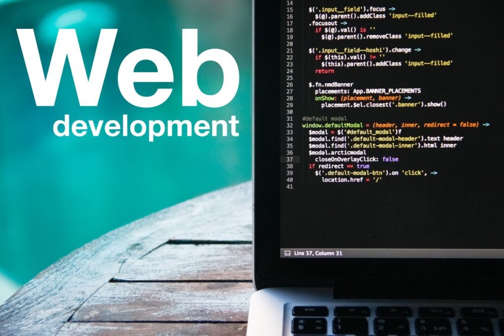 WEB DESIGNER và WEB DEVELOPER